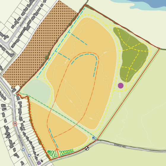 Wellesbourne Constraints and Opportunities Plan