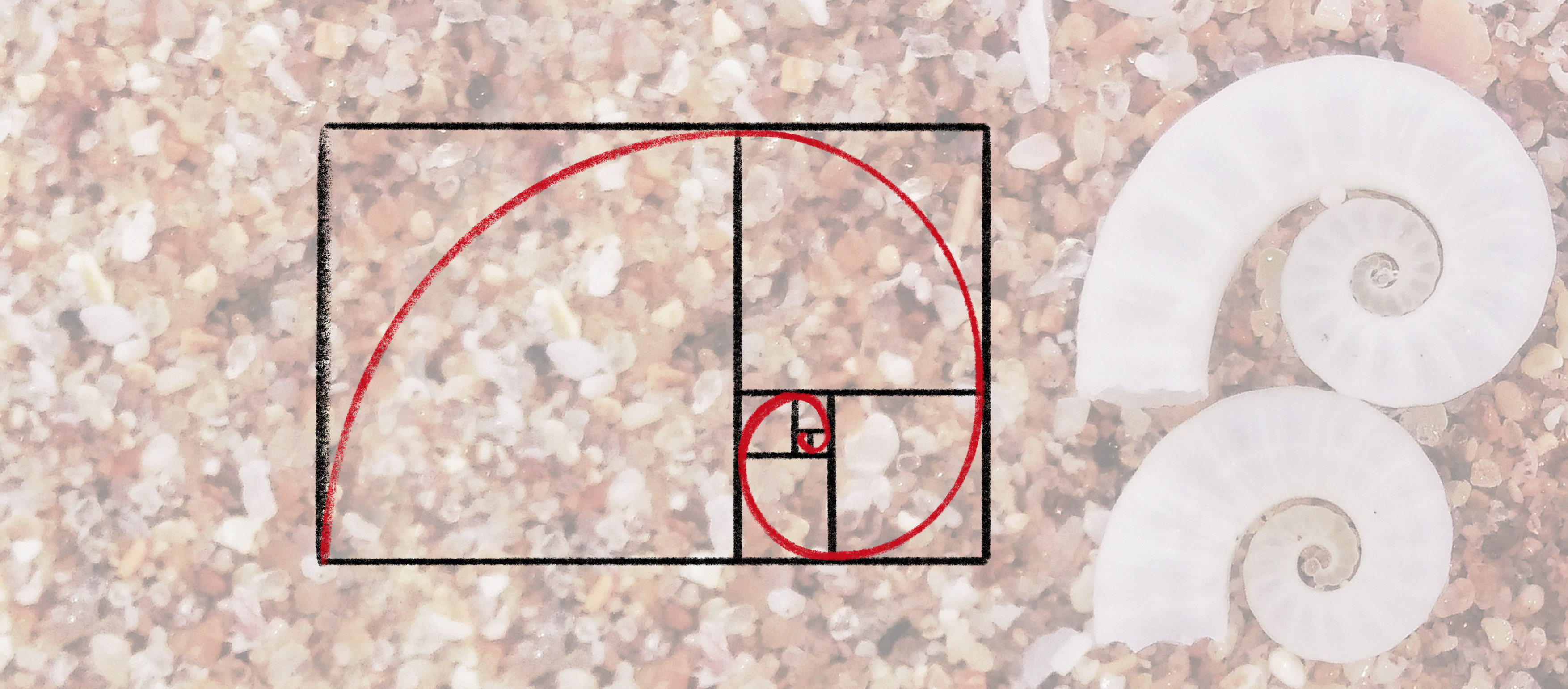 golden ratio