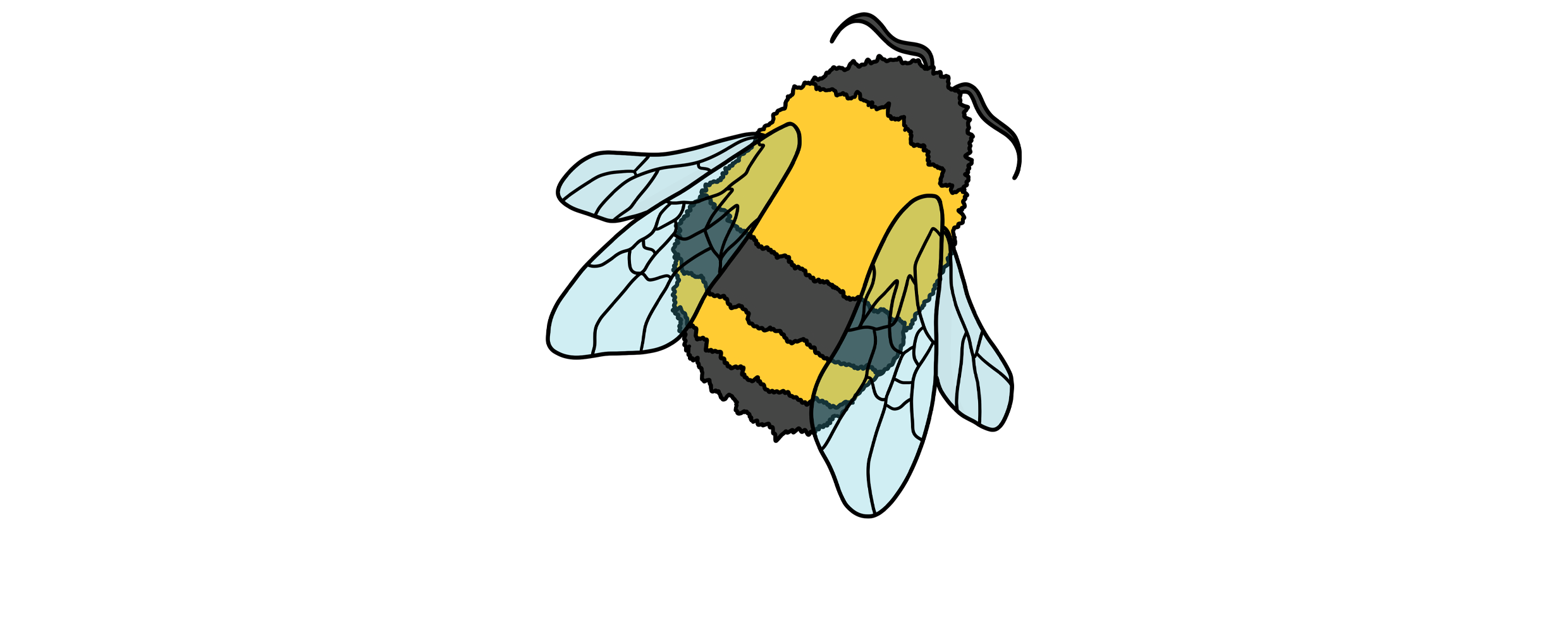 bicknacre-biodiversity