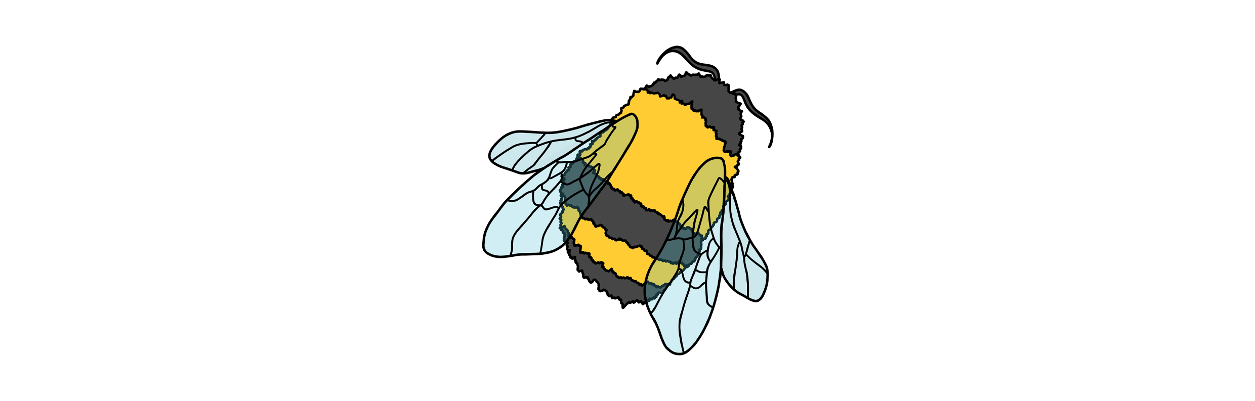 bicknacre-mobile-biodiversity